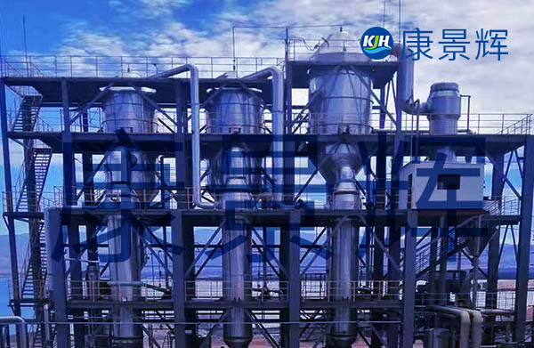 含鹽量20%日處理量120噸的高鹽廢水蒸發器