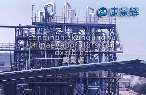 硫酸鋰MVR蒸發器