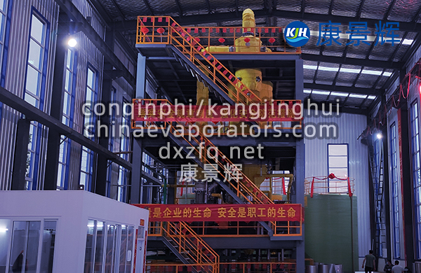有機(jī)廢水處理蒸發(fā)結(jié)晶器
