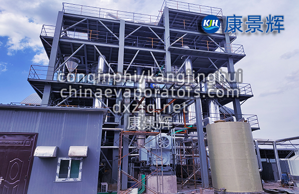 氯化鈉MVR強制循環蒸發器